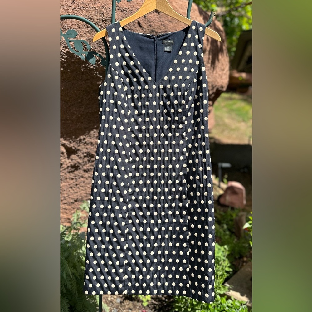 Ann Taylor Navy Blue with Cream Embroidered Polka Dots Dress Size 0